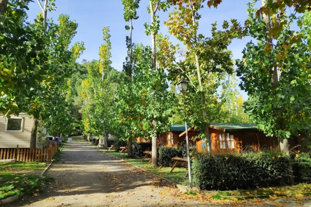 Camping Valle de Iruelas