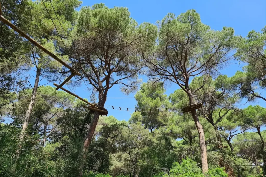 Natupark. Bosc Tancat. Cerdanyola del Vallés (Barcelona)