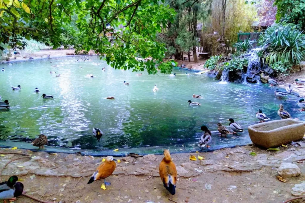 Zoo Municipal de Guadalajara