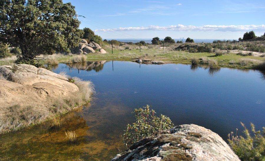 Zonas naturales en Hoyo de Manzanares