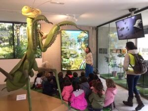 InsectPark Madrid