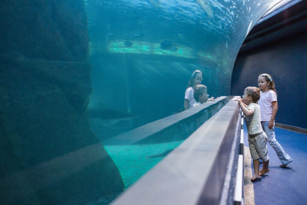 Oceanografic