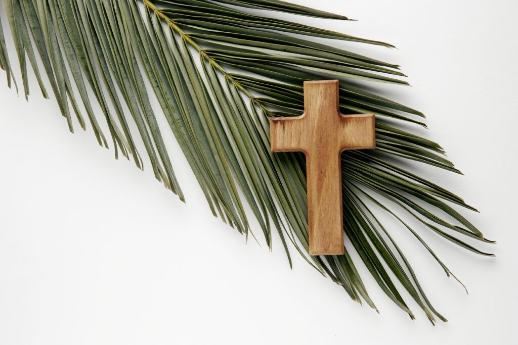 Ramos Semana Santa