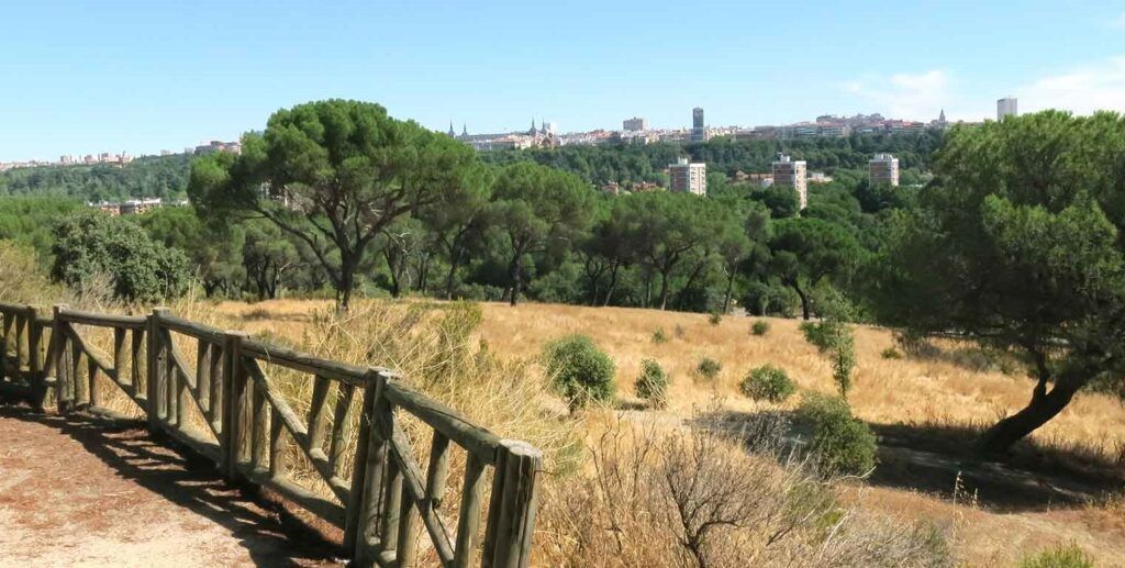 Rutas con niños en Madrid