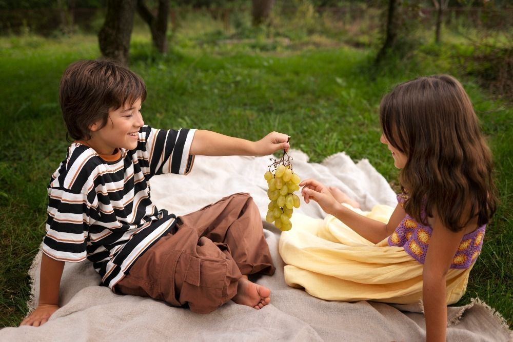 picnic madrid