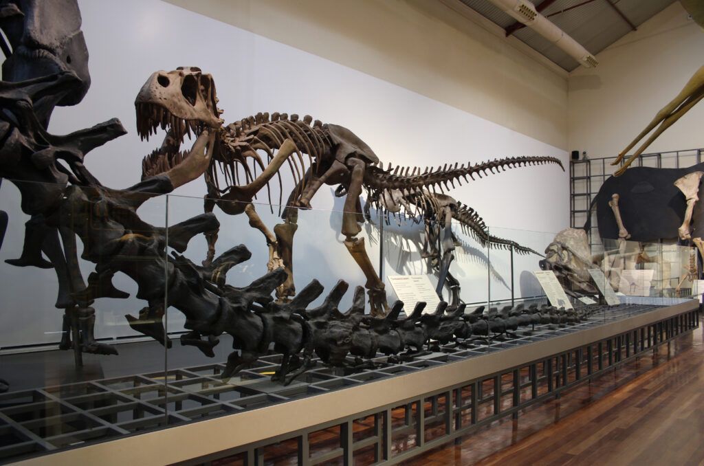 museo de ciencias naturales