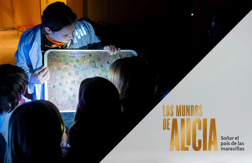 Talleres Caixa Forum Madrid