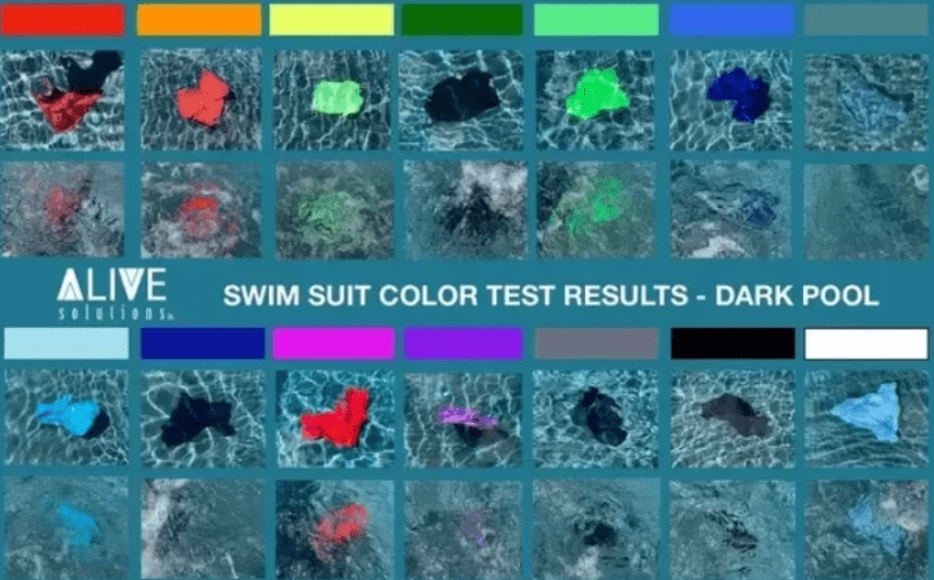 mejor color de bañador