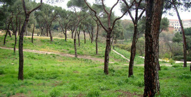 Rutas de senderismo en Madrid con bebés