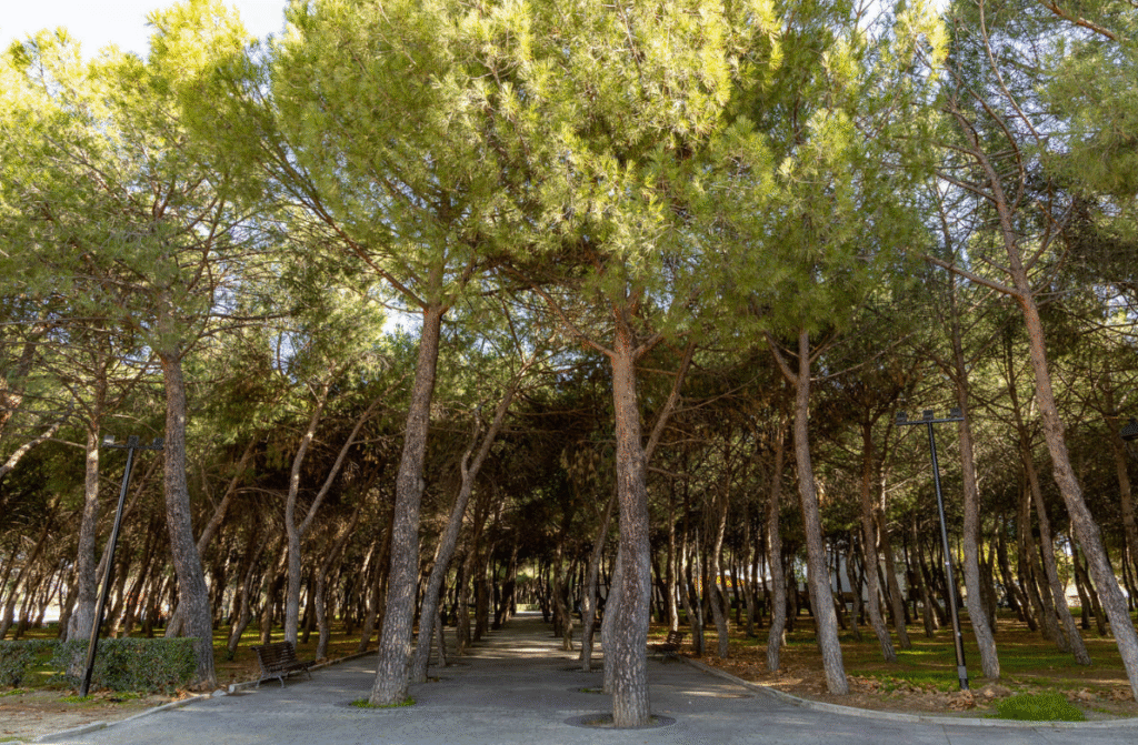 Parque Finca Liana