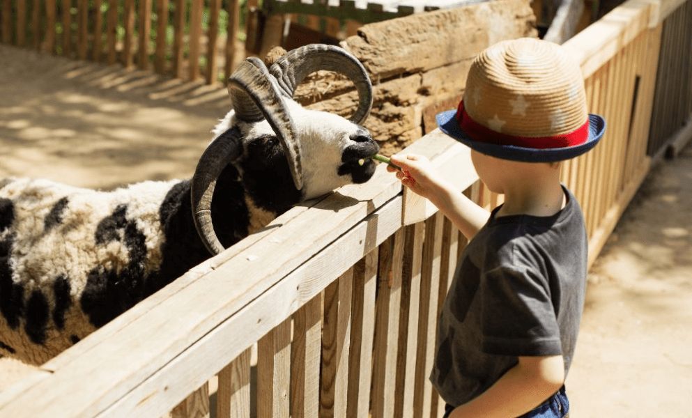 Granja Aventura Park