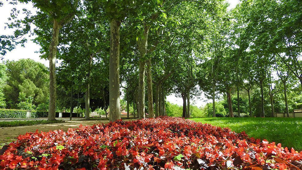 Espacio Abierto Quinta de los Molinos