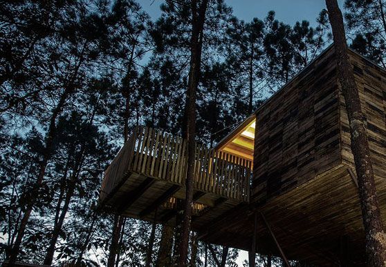 vacaciones al aire libre