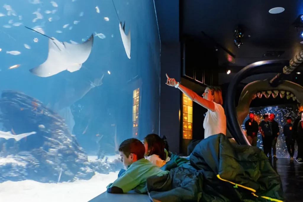 atlantis aquarium