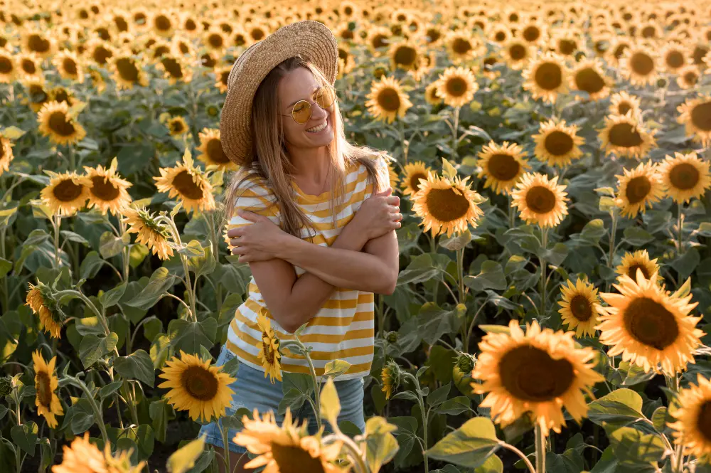 campos de girasoles cerca de madrid