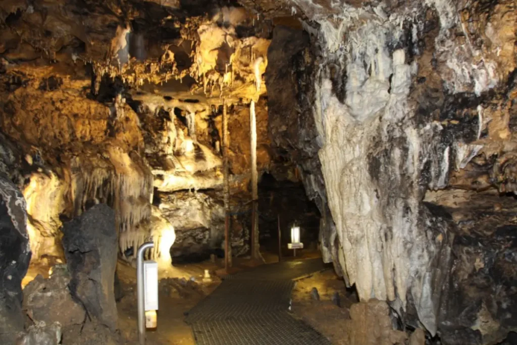 cuevas de los enebralejos segovia