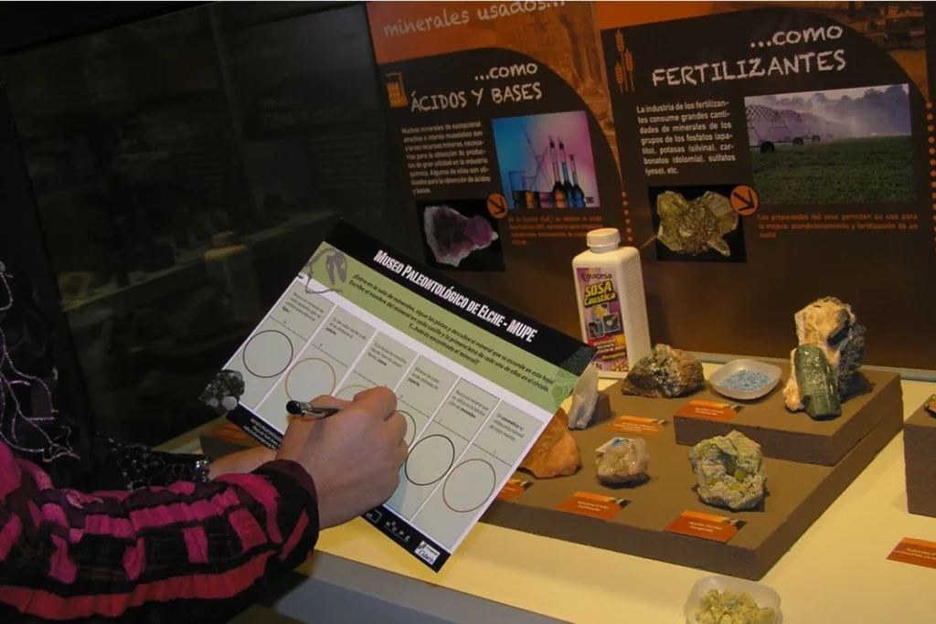 talleres de dinosaurios