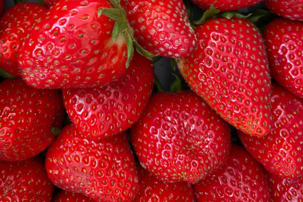 fresas madrid