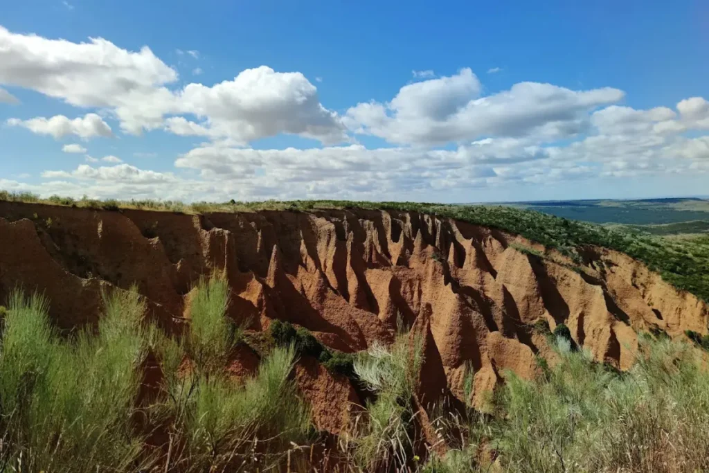 Cárcavas Pontón de la Oliva