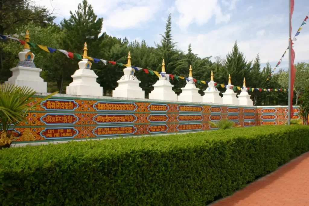 Dag Shang Kagyu