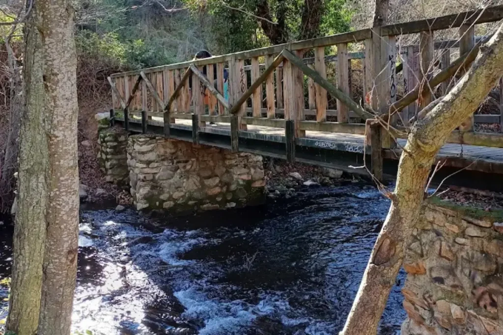 cascada Becerra