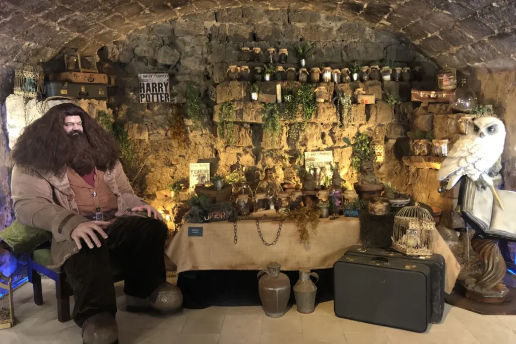 hagrid El Castillo Encantado Trigueros del Valle Valladolid
