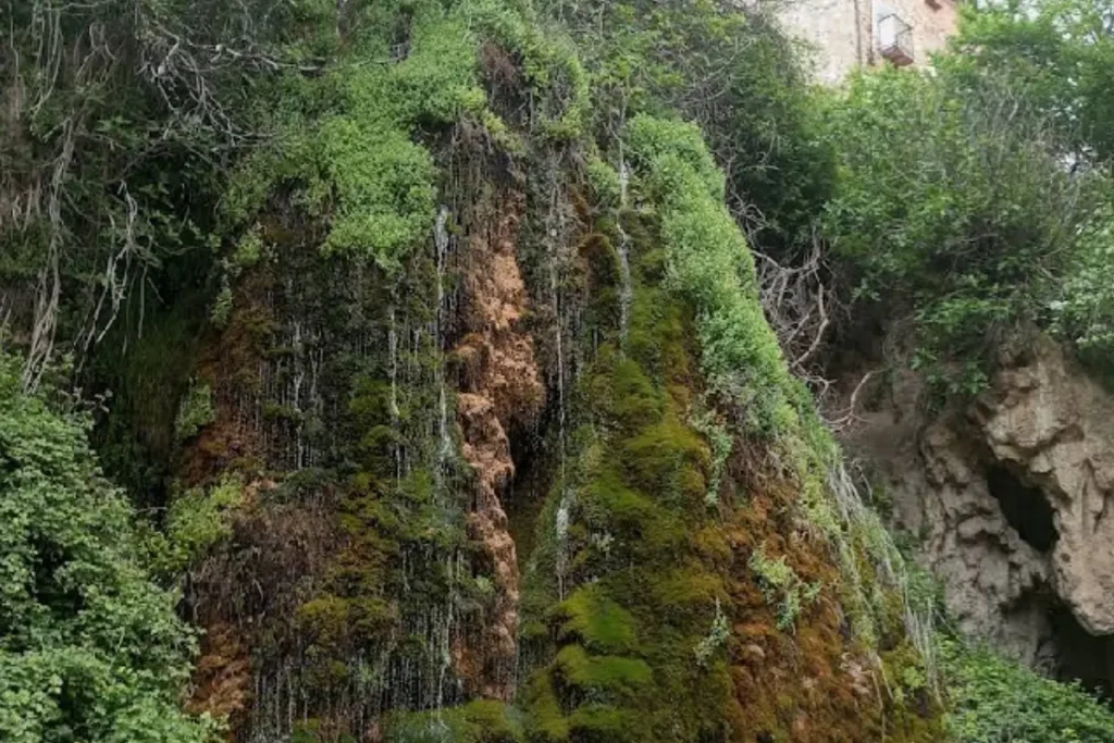 la cascada de civica