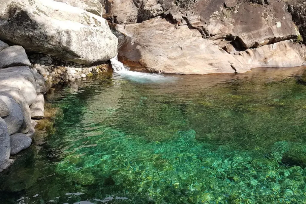 zona de baño gredos