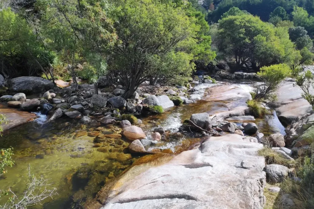 Charca Verde La Pedriza (5)