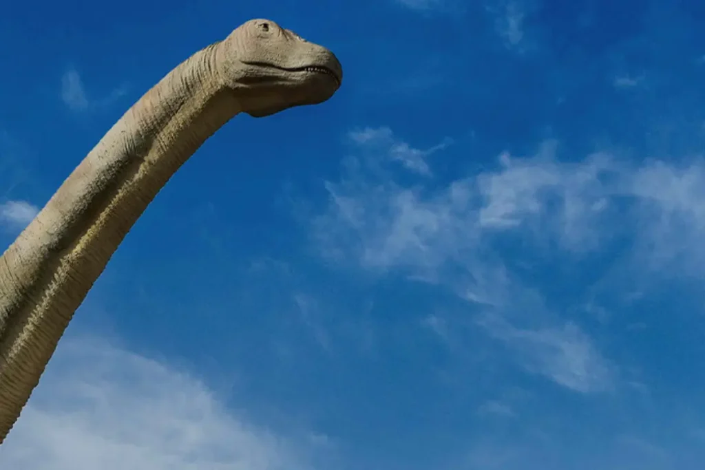 tren paleontologico renfe cuenca