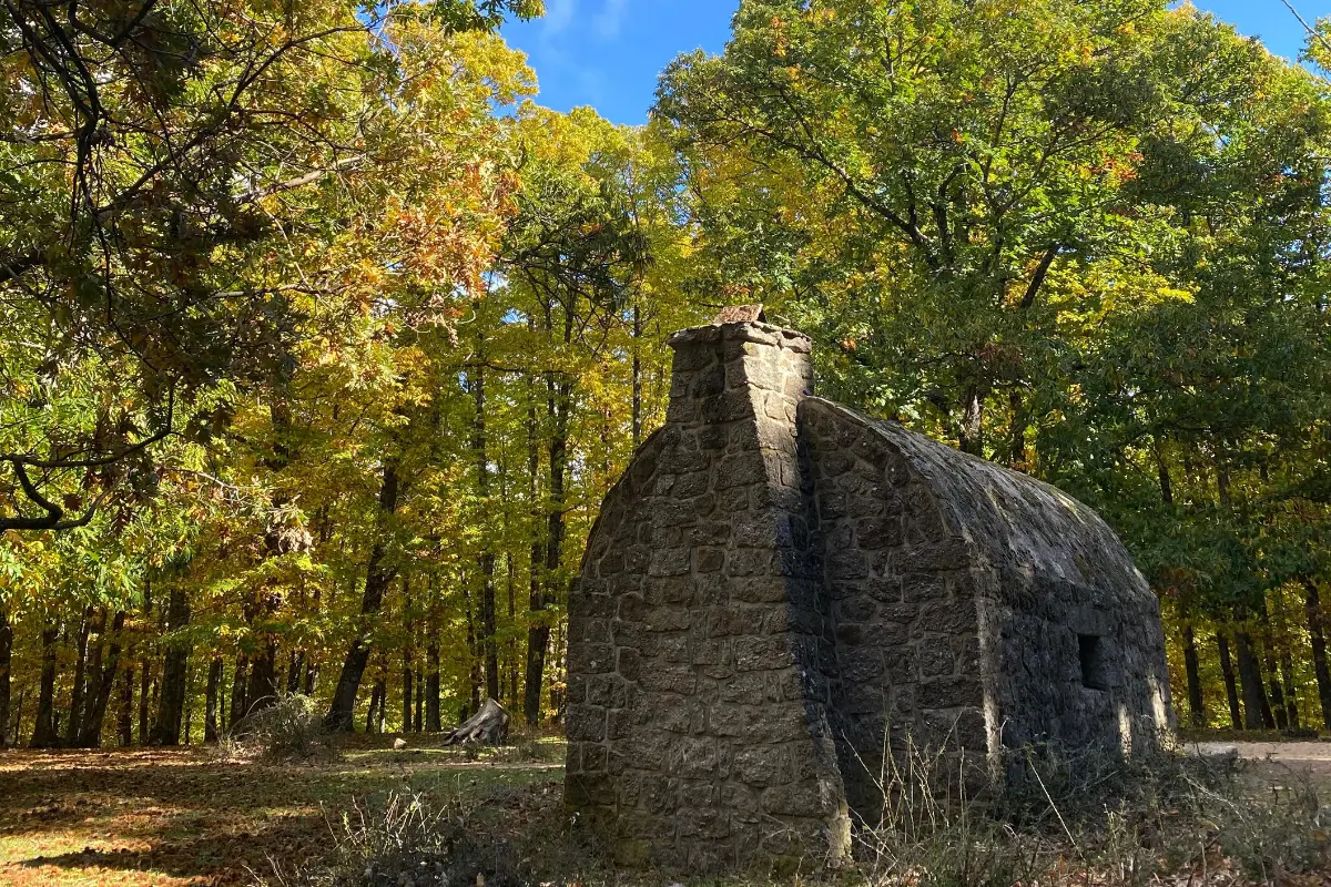 El castañar de El Tiemblo