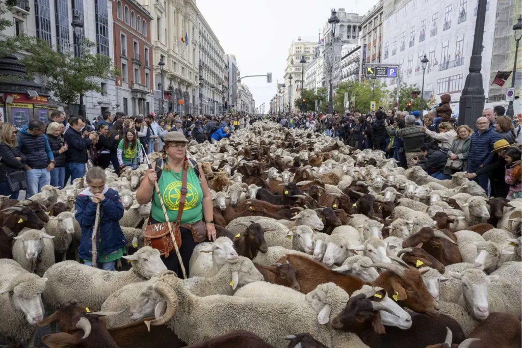 trashumancia 2025