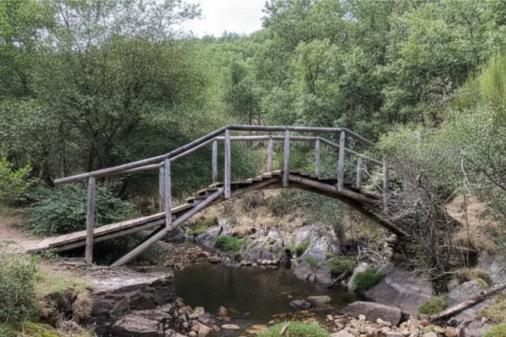 Camino del Anillo