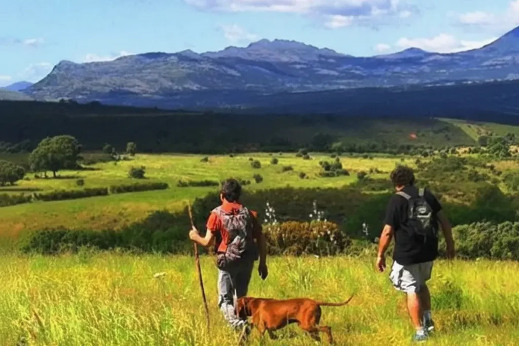 Camino del Anillo