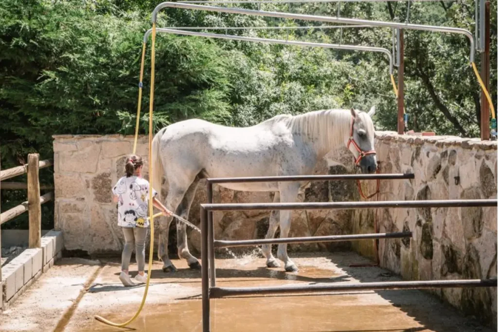 paseos en pony y caballo para niños en Madrid