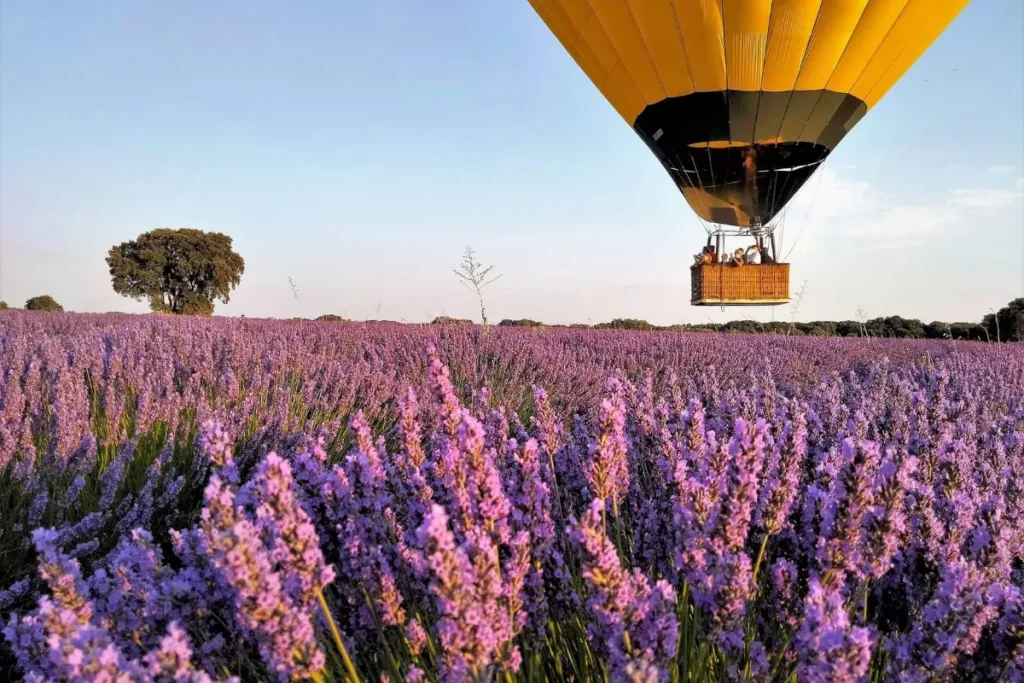 Aerotours vuelo en globo con niños