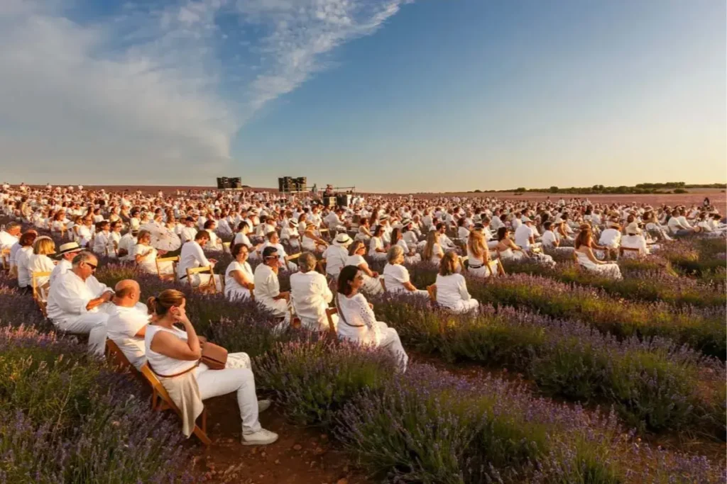 Festival Lavanda Brihuega