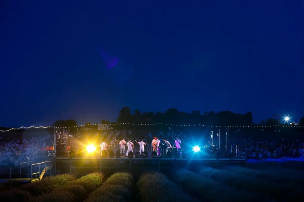 Festival Lavanda Brihuega