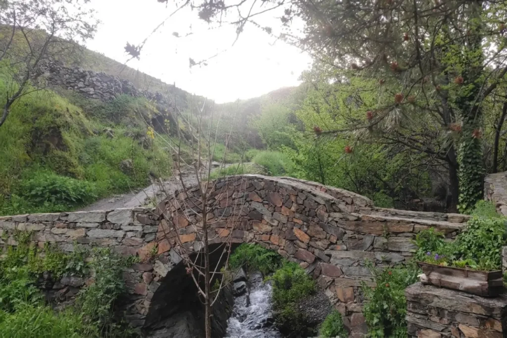 Ruta Pontón de la Oliva