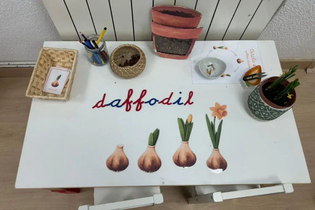 escuela infantil Montessori en Tres Cantos