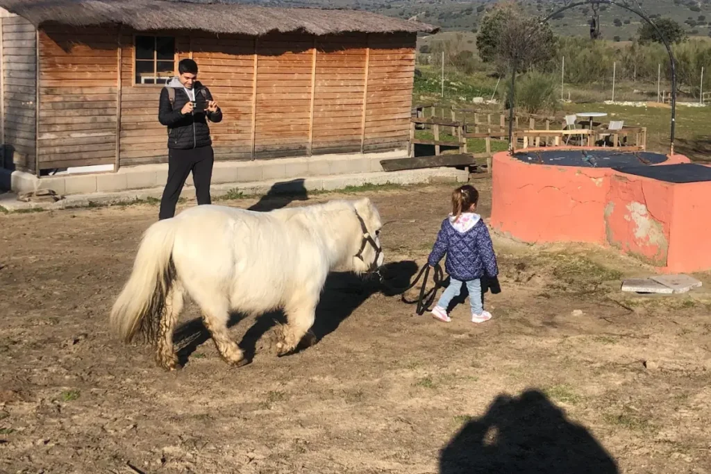 experiencias con ponys en Madrid