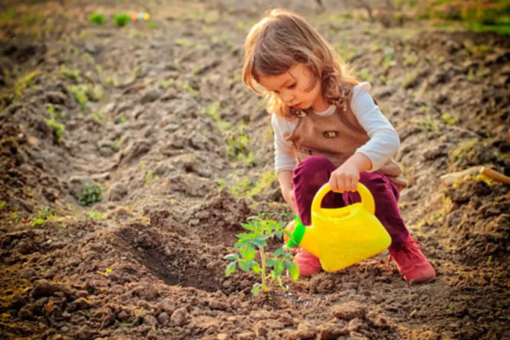 huerto Montessori Tres Cantos