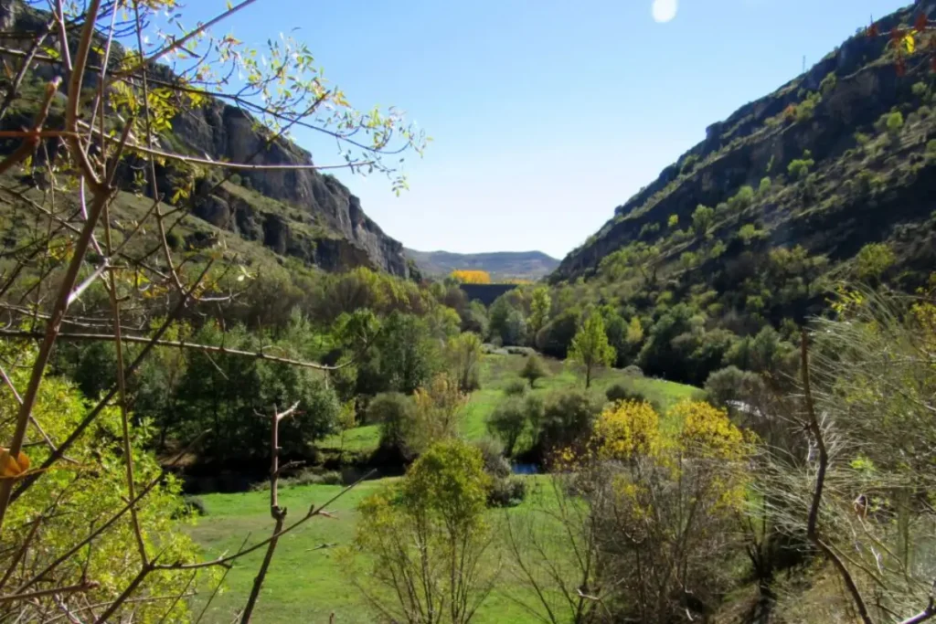 naturaleza Pontón de la Oliva