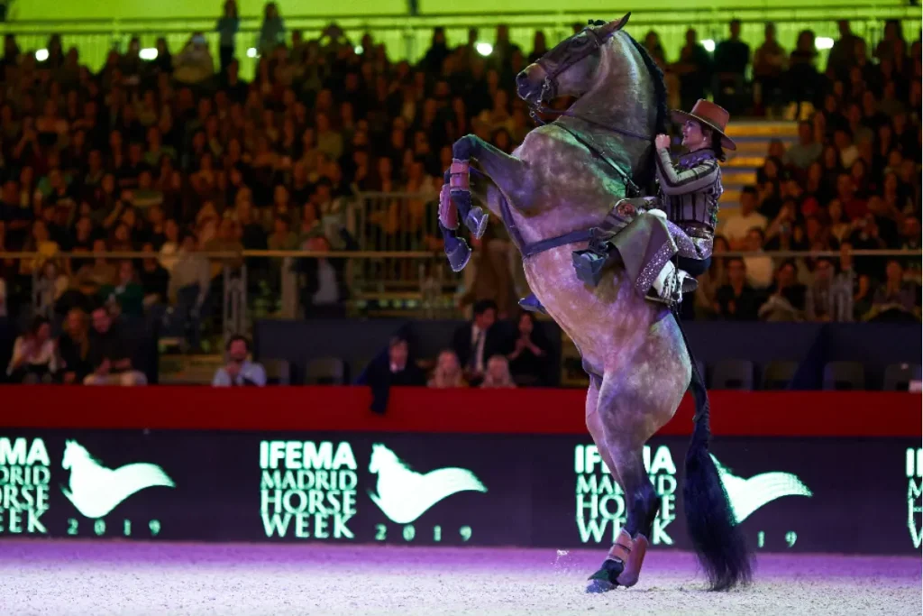 Madrid Horse Week 2026