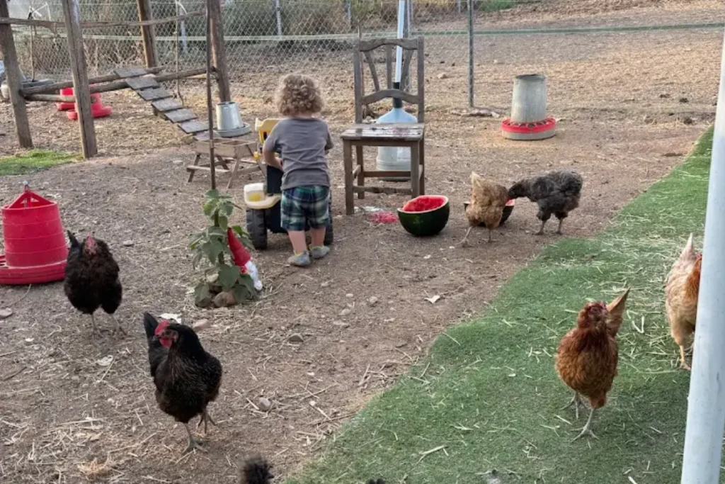 finca granja natura