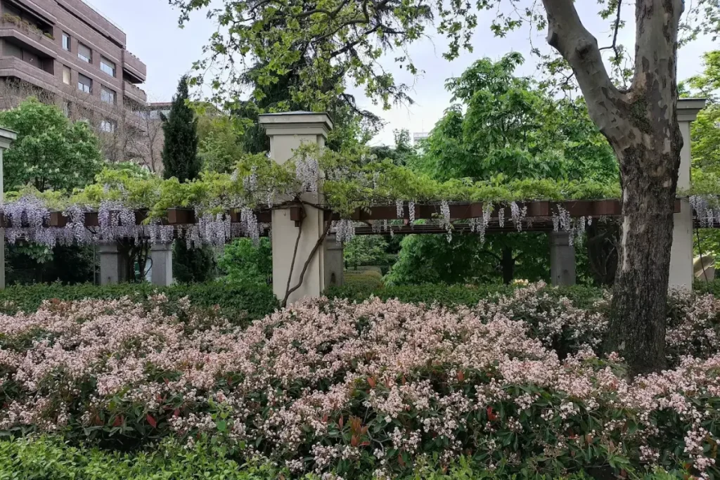 jardín de Banca March