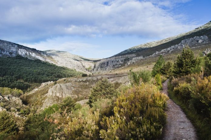 los más encantadores caminos naturales de Madrid